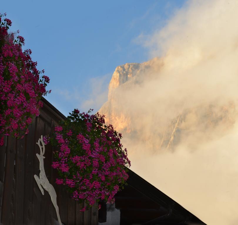 Hotel Margherita San Martino Di Castrozza Zewnętrze zdjęcie